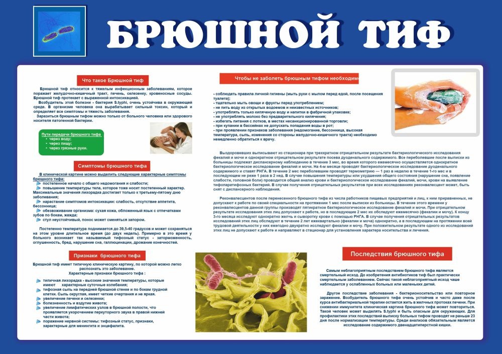 Профилактика брюшного тифа.